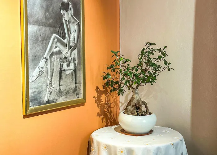 Suncrest Haven I20 دراس