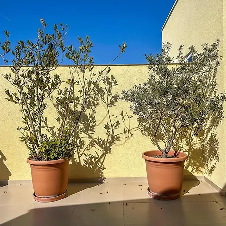 Suncrest Haven I20 Apartmán